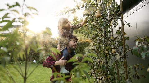 How we think about sustainability