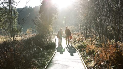 Swiss Life's sustainability strategy
